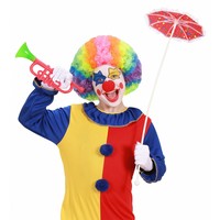 Pruik Clown Multikleuren