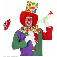 Hoge Hoed Clown