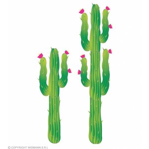 Set Van 2 Cactussen