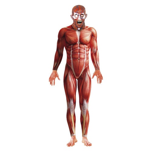 Smiffys Anatomie Man Kostuum - Rood