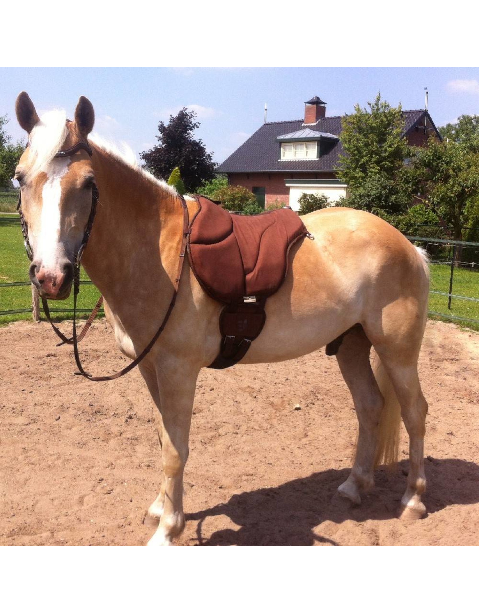 Barefoot Ride on Pad Reitpad