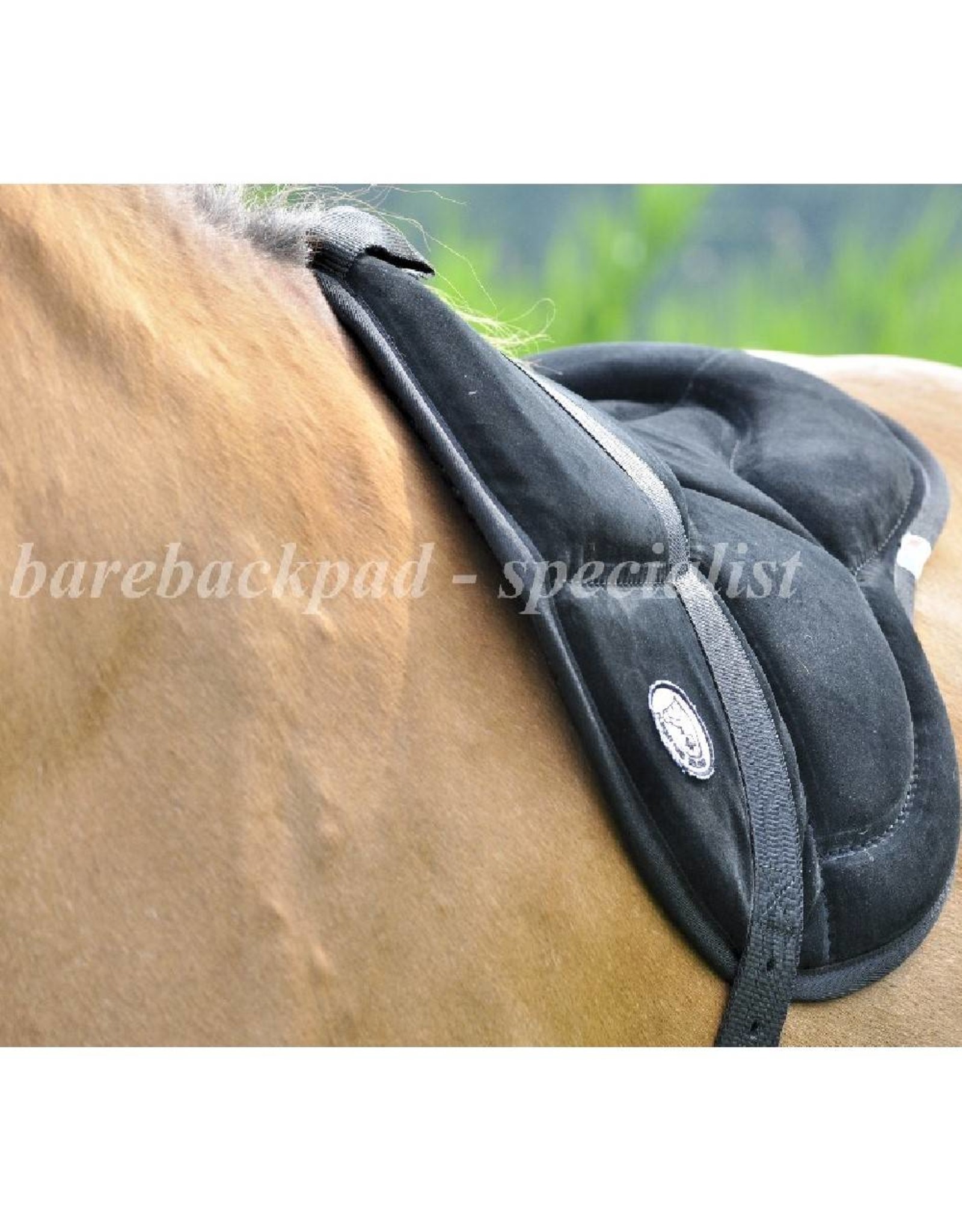 Seilerei Brockamp Barebackpad English Wildleder mit Gurt