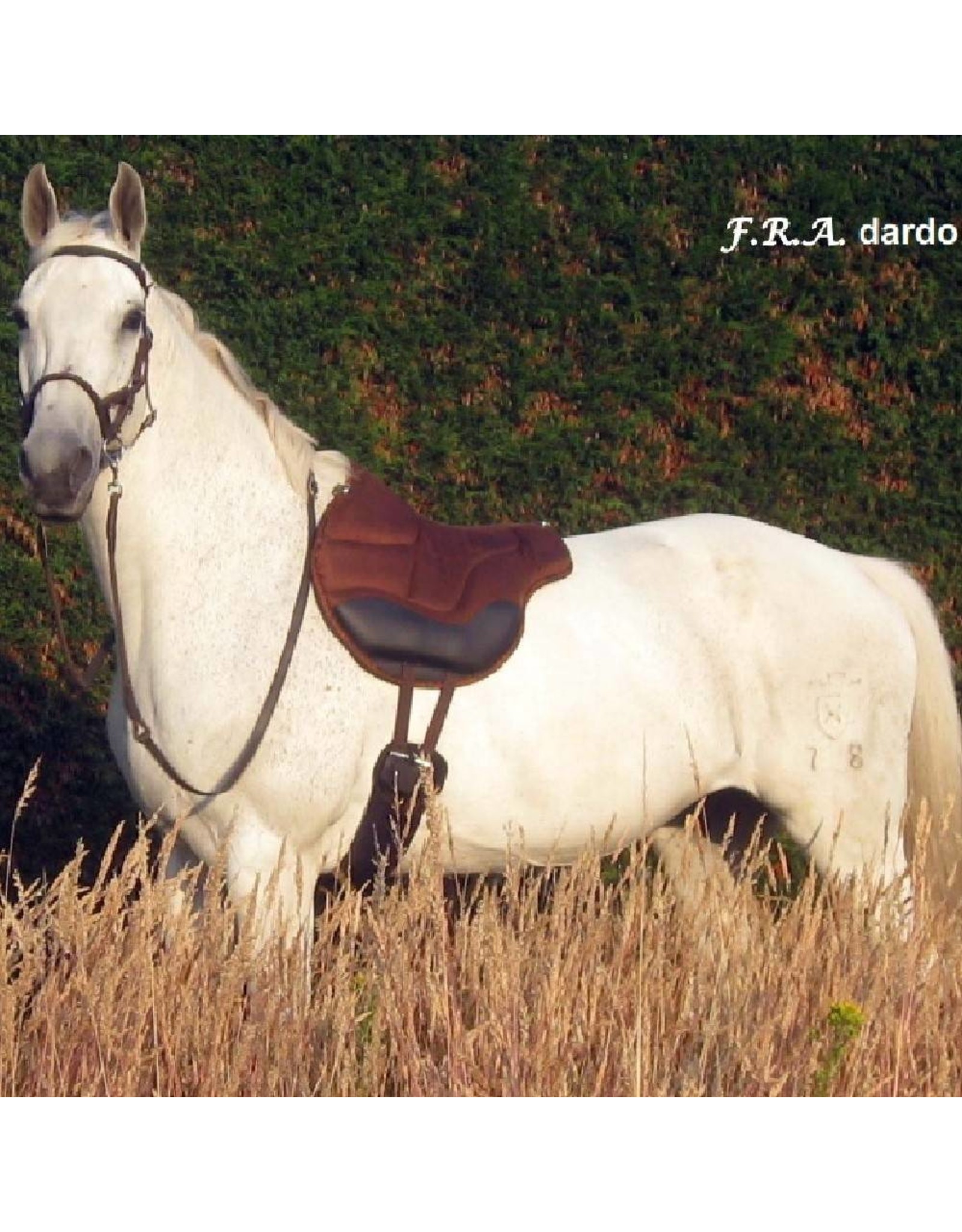 FRA FRA Dardo barebackpad