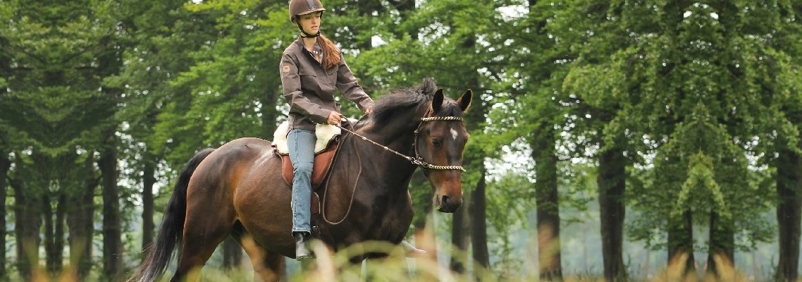 Barefoot Ride on Pad mit Schafwolsitz