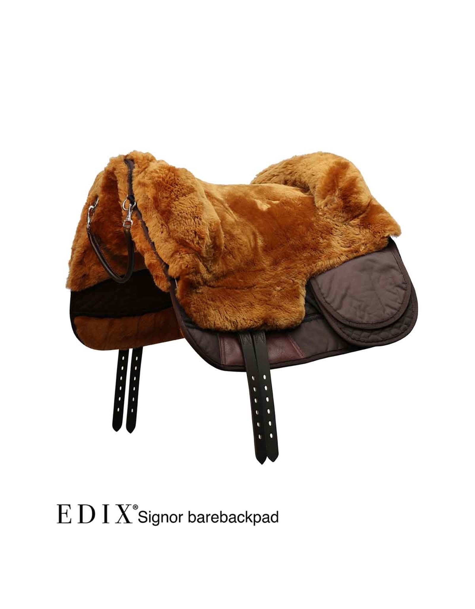 EDIX  Bareback-Pad Signor anatomisch