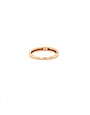 Passione Passione ring GGA1159 0.05ct