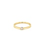 Passione Passione gouden ring GGA1683 0.05ct