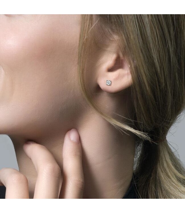 Blush Oorbellen 7212WZI