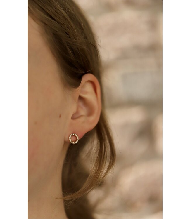 ROEMER 18k geelgouden oorstekers Cirkel met diamant (0.25ct