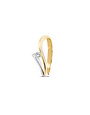 R&C R&C Bicolor gouden ring Victoire RIN0038-SIR010