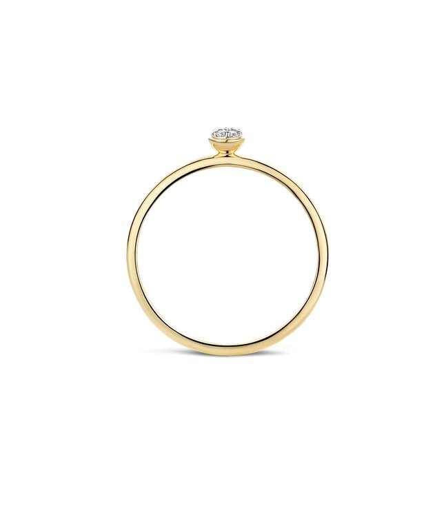 Blush ring 1199yzi/48