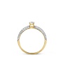 Blush Blush Ring met zirkonia 1146BZI/54