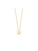 Just Franky Just Franky Ashes Necklace Star Small 42-44