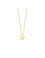 Just Franky Just Franky Ashes Necklace Star Small 42-44
