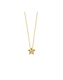 Just Franky Just Franky Ashes Necklace Star Small 42-44