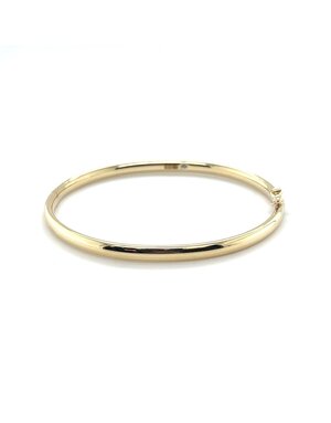 ROEMER Roemer Bangle goud met zilveren kern 4mm x 56mm