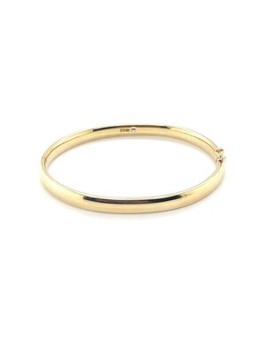 ROEMER Roemer Bangle goud met zilveren kern 6mm x 61mm