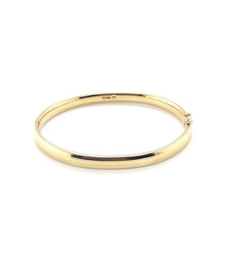 ROEMER ROEMER 14k geelgouden bangle met zilveren kern 6mm x 61mm