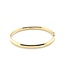 ROEMER 14k geelgouden bangle met zilveren kern 6mm x 61mm