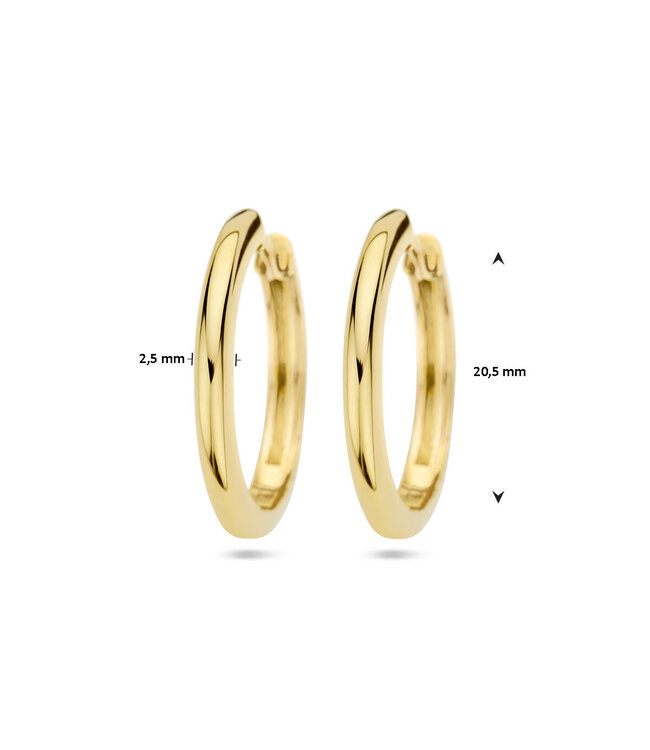Roemer klapoorringen geelgoud 2,5 mm half rond