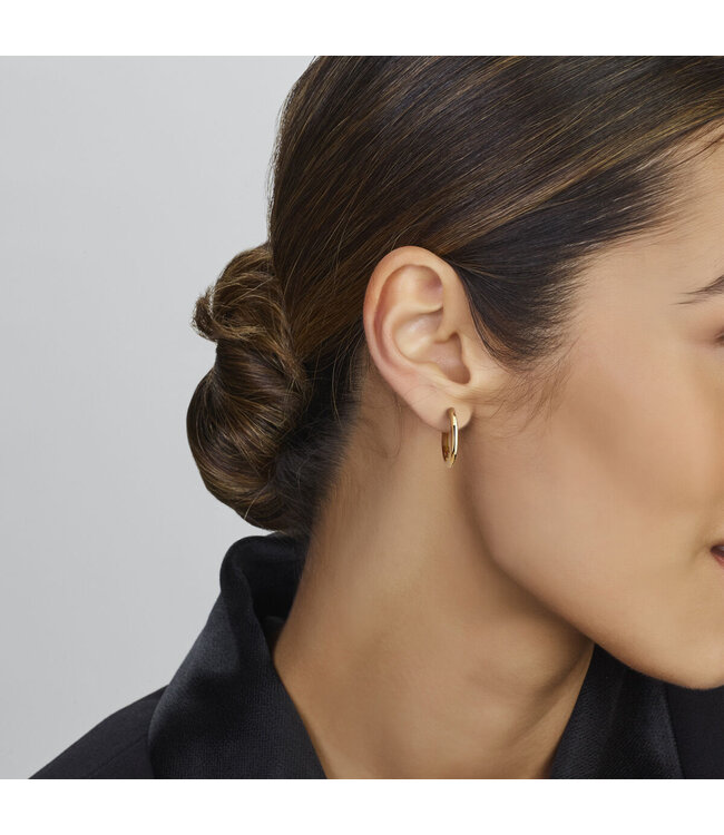 Roemer klapoorringen geelgoud 2,5 mm half rond