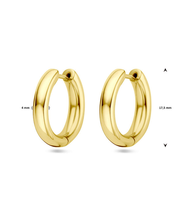 ROEMER 14k geelgouden klapoorringen 17.5x4mm