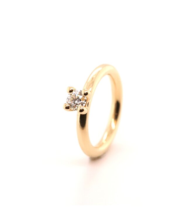 Roemer by Bregje Ringenset 5