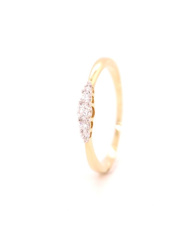 Passione ring goud 14k met diamant 0.21 ct maat 55