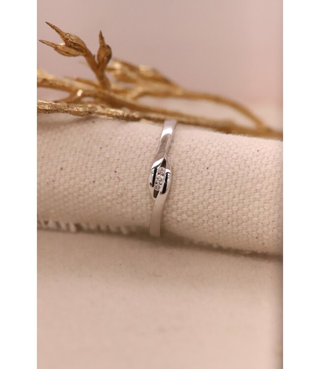 Passione ring goud 14k met diamant 0.03ct maat 50