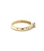 R&C bicolor gouden ring Camille Riche 0.07ct + 10/0.09ct SI