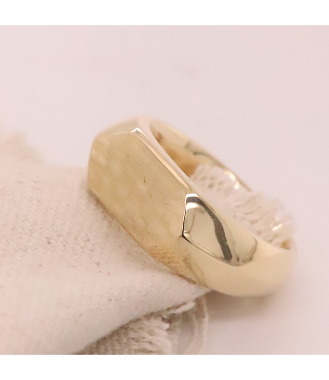 Roemer Zegelring 14k massief geelgoud