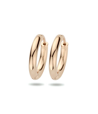 ROEMER ROEMER oorringen 14k  roségoud 2,5 mm
