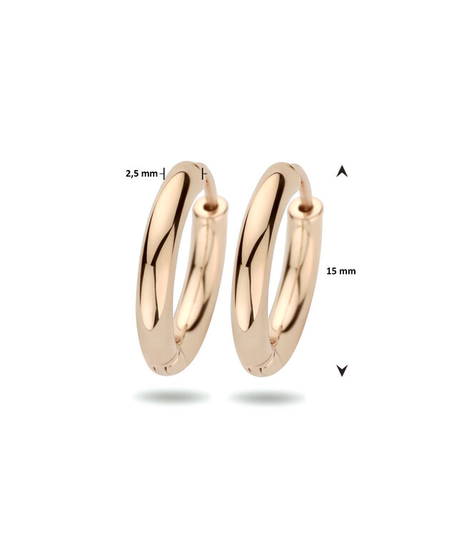 ROEMER oorringen 14k  roségoud 2,5 mm