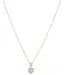 Monzario geelgouden collier met Aquamarijn 1380C