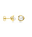 ROEMER Parel Oorknoppen Bloem 14k geelgoud 8.5mm