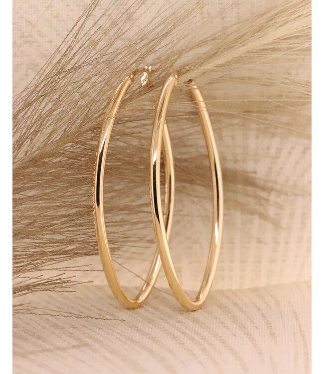 Monzario oorhangers 14k goud 1410-O