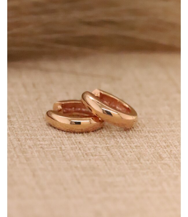 Monzario oorringen rosegoud 492O