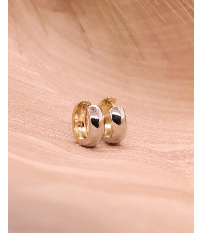 ROEMER Bicolor gouden klapcreolen