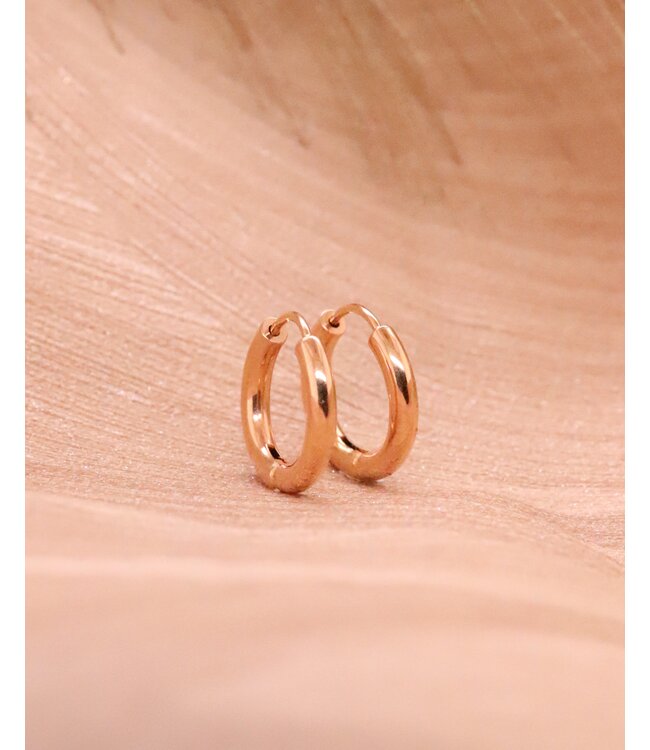 ROEMER oorringen 14k  roségoud 2,5 mm