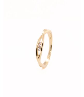 Passione Passione 14k geelgouden ring  met diamant 0.06ct