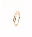 Passione 14k geelgouden ring  met diamant 0.06ct