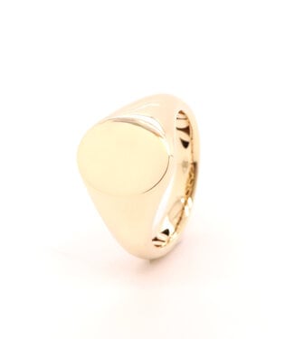 ROEMER ROEMER ring goud 14k maat 55 9033/AY