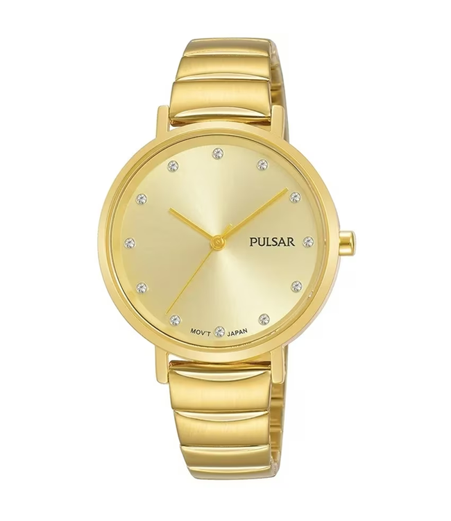 Pulsar Horloge PH8406X1