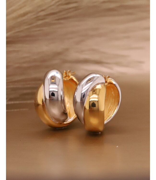 ROEMER oorringen 14k geel/wit goud 12mm