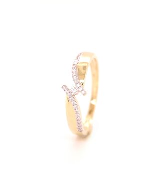 Passione Passione ring goud 14k met diamant 0.14ct maat 53