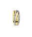 ROEMER Hanger goud bicolor 14k met diamant 0.17ct H Si