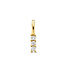 ROEMER hanger 14k geelgoud met diamant 0.05ct h si