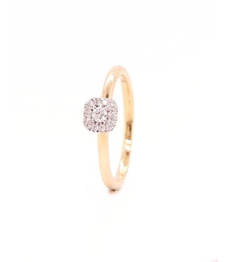 Passione Passione 14K geelgouden ring met diamant 0,14ct 53