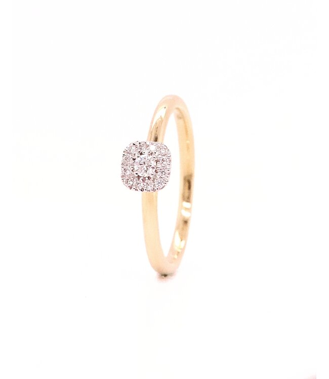 Passione 14K geelgouden ring met diamant 0,14ct 53