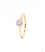 Passione Passione 14K geelgouden ring met diamant 0,14ct 53